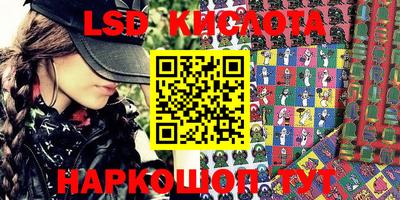 тгк Новодвинск