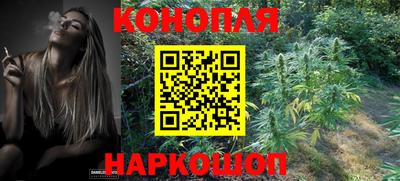 тгк Новодвинск