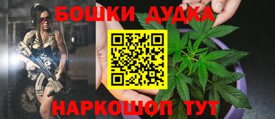 тгк Новодвинск