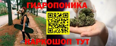 тгк Новодвинск